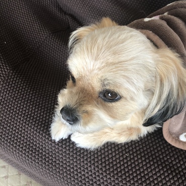 物思いにふけってる☆