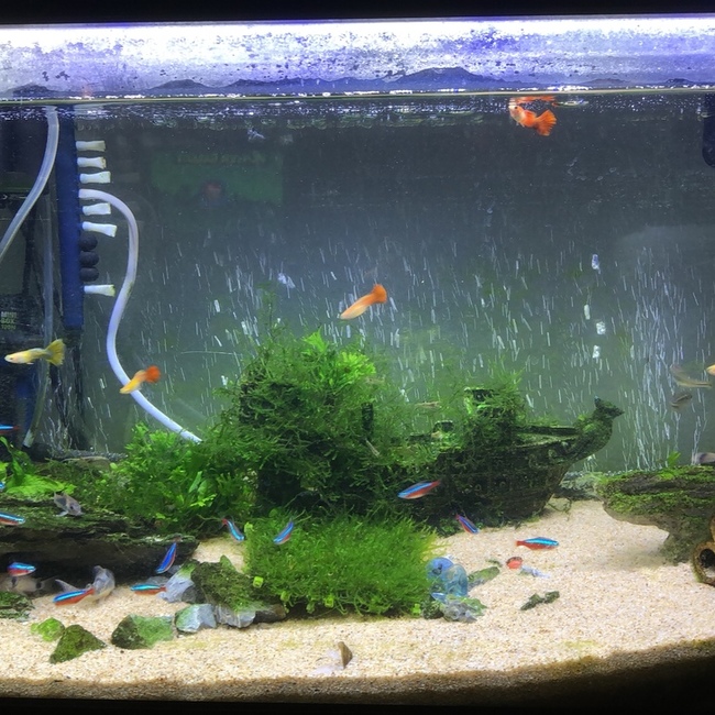 もも08のカバー写真