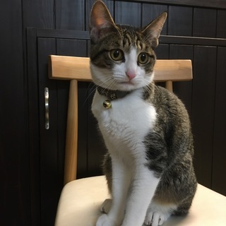 マイペースみーちゃん8か月