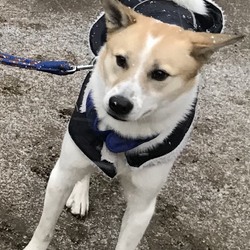 「初めての体験」サムネイル2