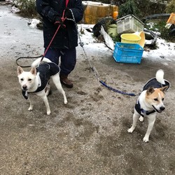 「初めての体験」サムネイル3