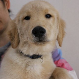 里親様が決まりました。