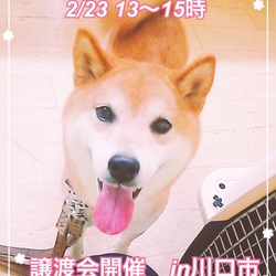 わんこ譲渡会＆チャリティバザー