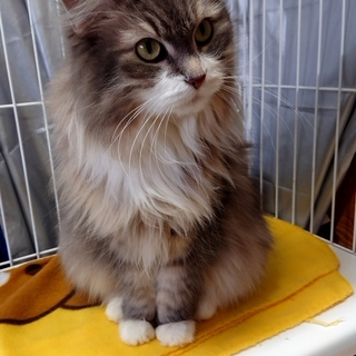 良いご縁がありました！