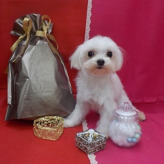 小さくて可愛い男の子です。