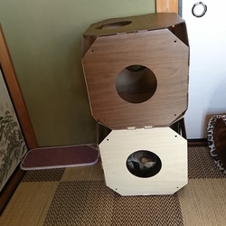 「姫&殿、手術のご褒美ですよ(その1)」サムネイル3