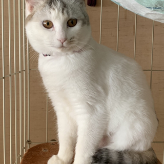 色素薄い系♡色白なの♡ハートちゃん