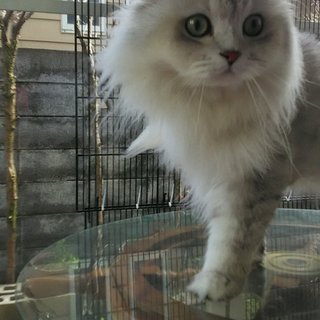 可愛い❤男の子