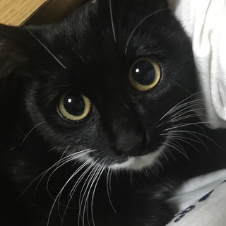 ありがとうございました