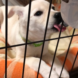 兄妹イチ甘えん坊のあまちゃん❤︎