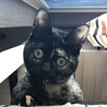 の写真