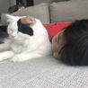 いでみ