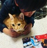 の写真