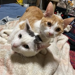 2匹はこんなに仲良しに。