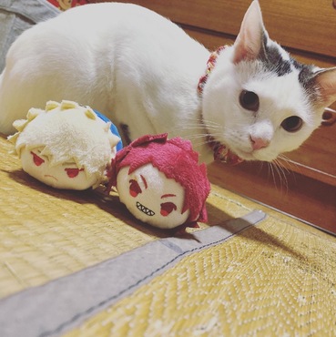 もちマスと戯れるチビ太くん