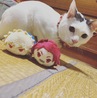 もちマスと戯れるチビ太くん