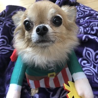 あねら