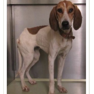 リタちゃん、素晴らしいご縁を持っています。