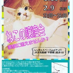 ねこの譲渡会『ねこを家族に迎えませんか？』