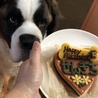 5歳のお誕生日