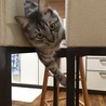 やんちゃ盛り
