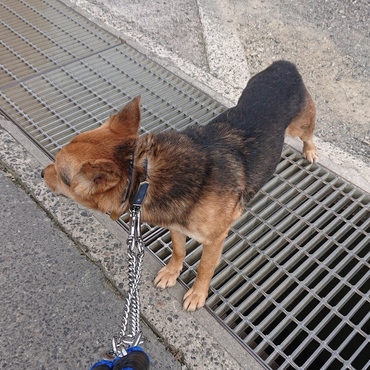 ジャンプ失敗！