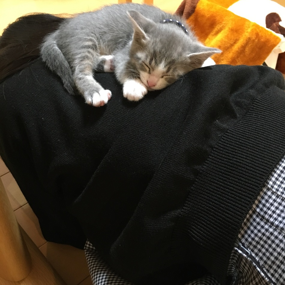 れおのカバー写真