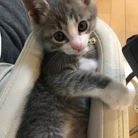 れお