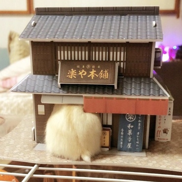 の写真