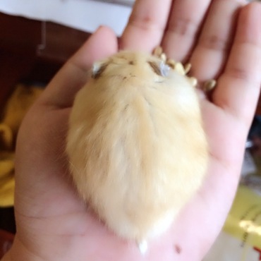 の写真