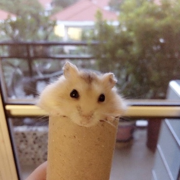 の写真