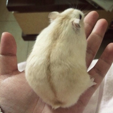歳とってもかわいさが変わらなかった！