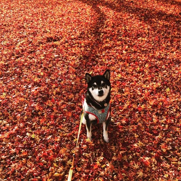 の写真