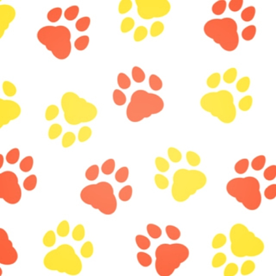 マカロンのカバー写真