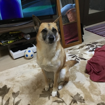 留守番頼んだよ