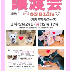 わんわん譲渡会
