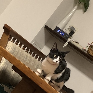 の写真