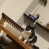 の写真