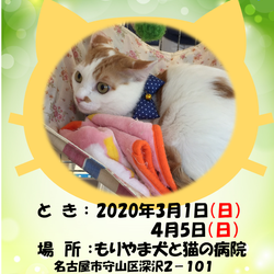 もりやま犬と猫の病院譲渡会