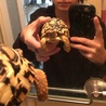 ぬここっこさん