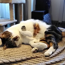 ２月の近況報告