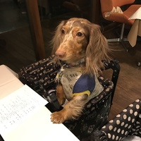 ナイト