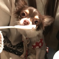 マリン