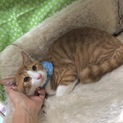 シャイなエム君　1才