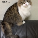 可愛がってくれる方探してます