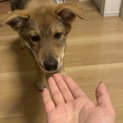 あっくん募集停止