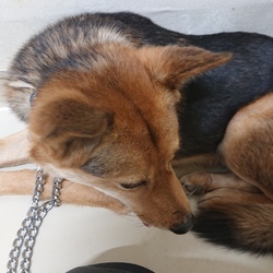 初めての健康診断