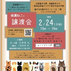 藤井寺保護猫サロン譲渡会