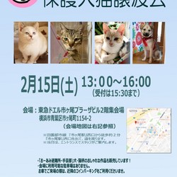 【おーあみ避難所】市が尾 里親会開催!