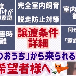 譲渡条件の御確認